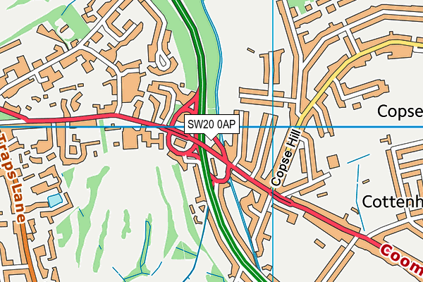 SW20 0AP map - OS VectorMap District (Ordnance Survey)