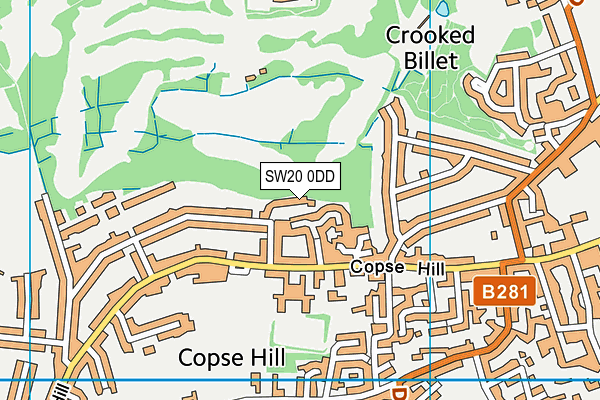 SW20 0DD map - OS VectorMap District (Ordnance Survey)
