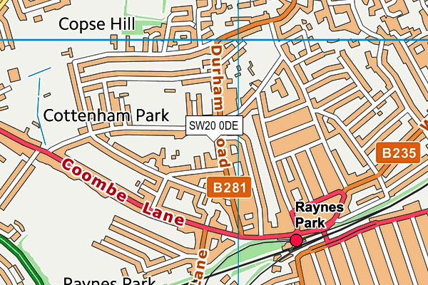 SW20 0DE map - OS VectorMap District (Ordnance Survey)