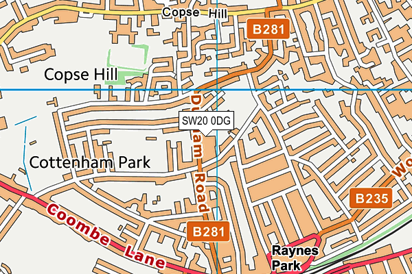 SW20 0DG map - OS VectorMap District (Ordnance Survey)