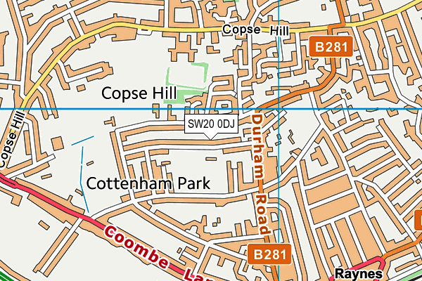 SW20 0DJ map - OS VectorMap District (Ordnance Survey)