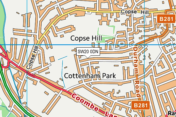 SW20 0DN map - OS VectorMap District (Ordnance Survey)