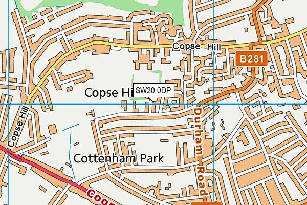 SW20 0DP map - OS VectorMap District (Ordnance Survey)