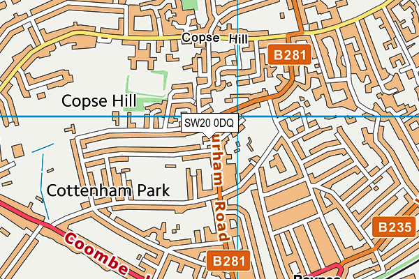 SW20 0DQ map - OS VectorMap District (Ordnance Survey)