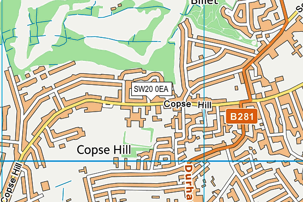 SW20 0EA map - OS VectorMap District (Ordnance Survey)