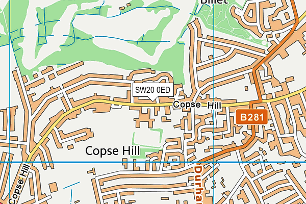 SW20 0ED map - OS VectorMap District (Ordnance Survey)