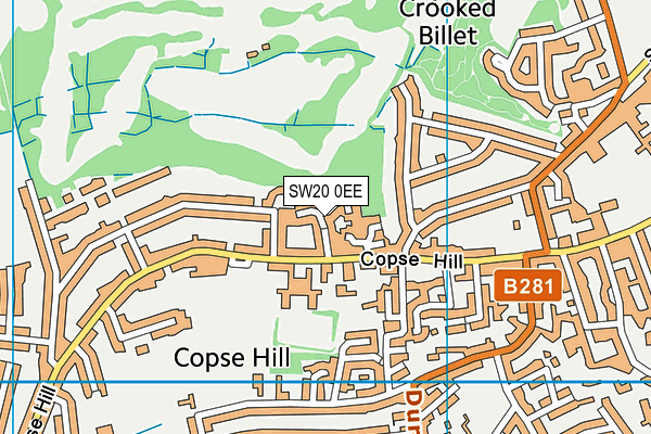 SW20 0EE map - OS VectorMap District (Ordnance Survey)