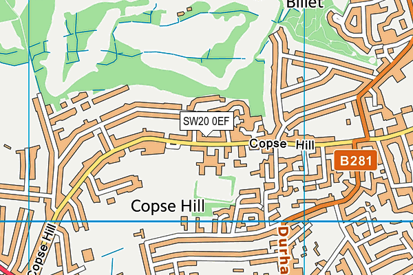 SW20 0EF map - OS VectorMap District (Ordnance Survey)