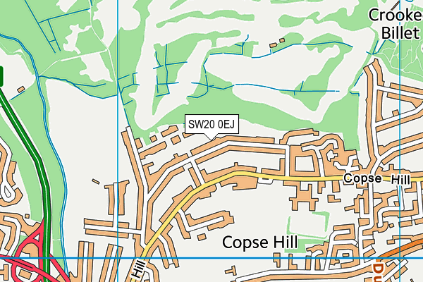 SW20 0EJ map - OS VectorMap District (Ordnance Survey)