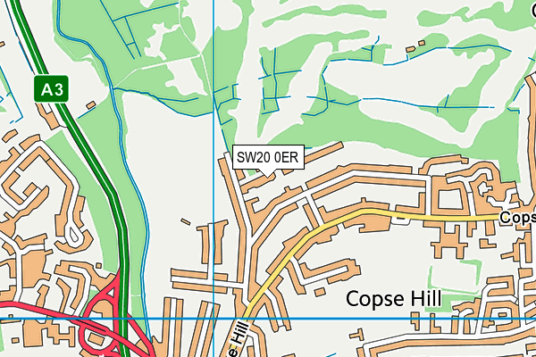 SW20 0ER map - OS VectorMap District (Ordnance Survey)