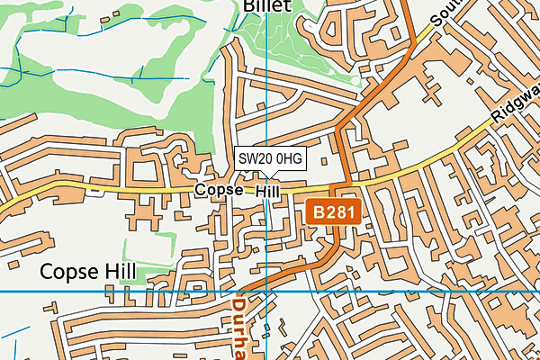 SW20 0HG map - OS VectorMap District (Ordnance Survey)