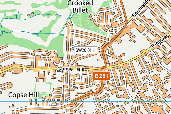 SW20 0HH map - OS VectorMap District (Ordnance Survey)