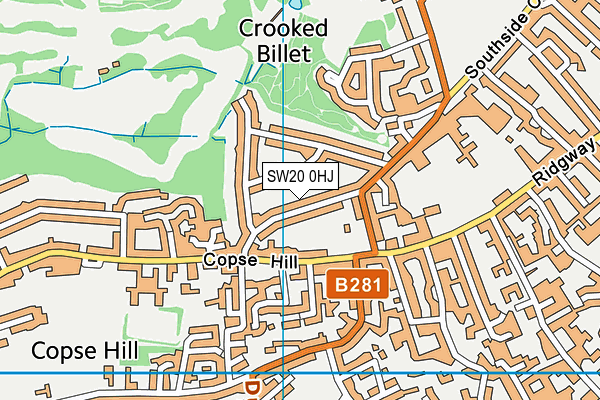 SW20 0HJ map - OS VectorMap District (Ordnance Survey)