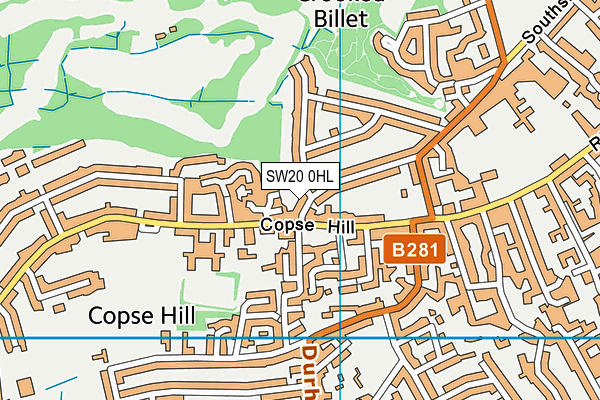 SW20 0HL map - OS VectorMap District (Ordnance Survey)