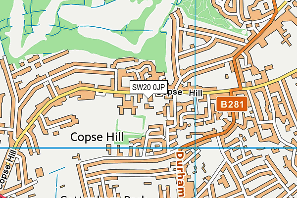 SW20 0JP map - OS VectorMap District (Ordnance Survey)