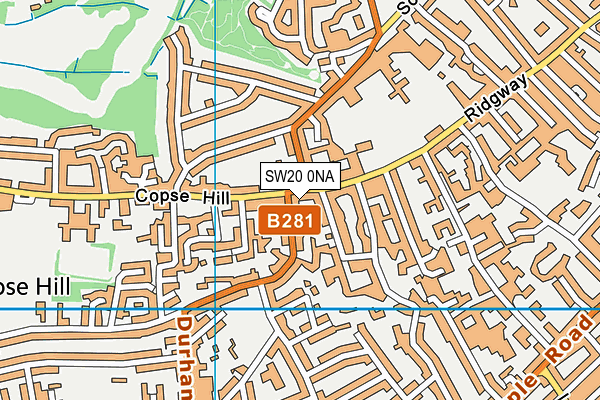 SW20 0NA map - OS VectorMap District (Ordnance Survey)