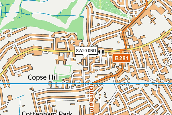 SW20 0ND map - OS VectorMap District (Ordnance Survey)