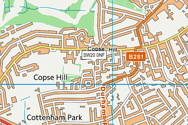 SW20 0NF map - OS VectorMap District (Ordnance Survey)