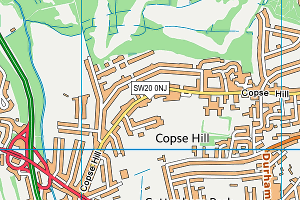 SW20 0NJ map - OS VectorMap District (Ordnance Survey)