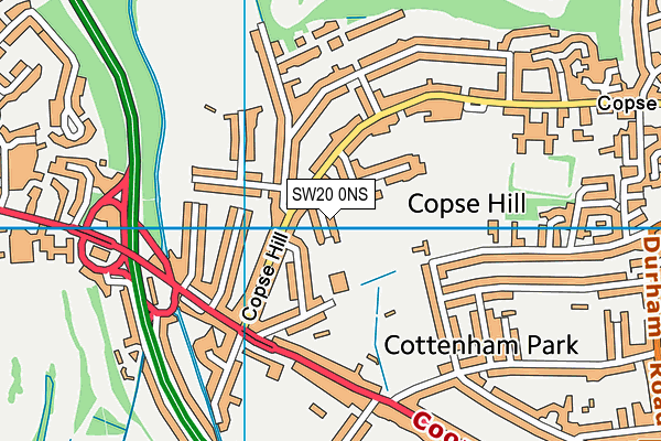 SW20 0NS map - OS VectorMap District (Ordnance Survey)