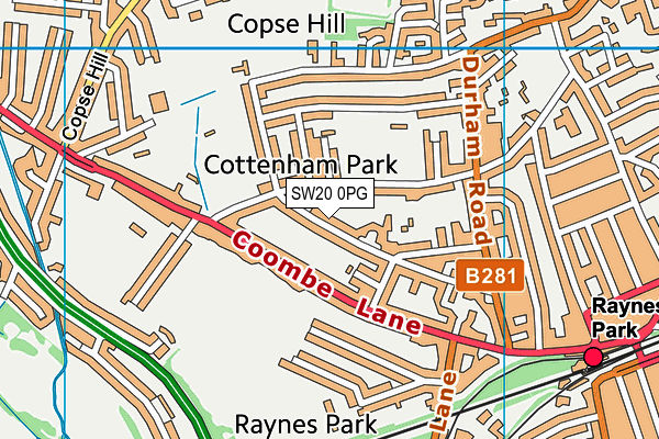 SW20 0PG map - OS VectorMap District (Ordnance Survey)