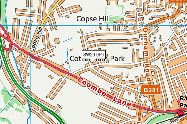 SW20 0PJ map - OS VectorMap District (Ordnance Survey)