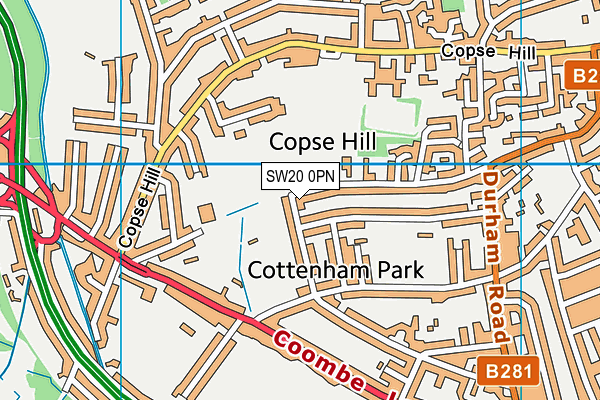 SW20 0PN map - OS VectorMap District (Ordnance Survey)