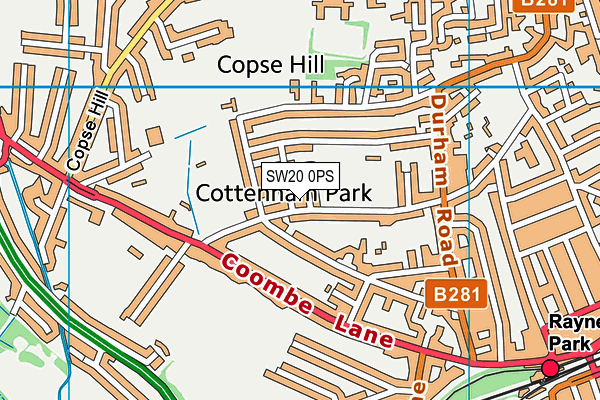 SW20 0PS map - OS VectorMap District (Ordnance Survey)