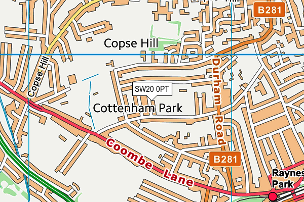 SW20 0PT map - OS VectorMap District (Ordnance Survey)