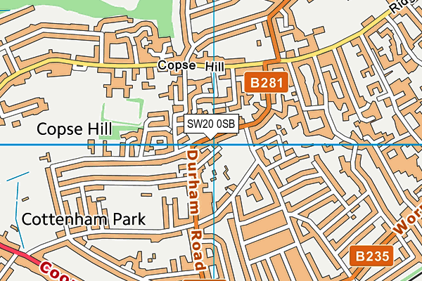 SW20 0SB map - OS VectorMap District (Ordnance Survey)