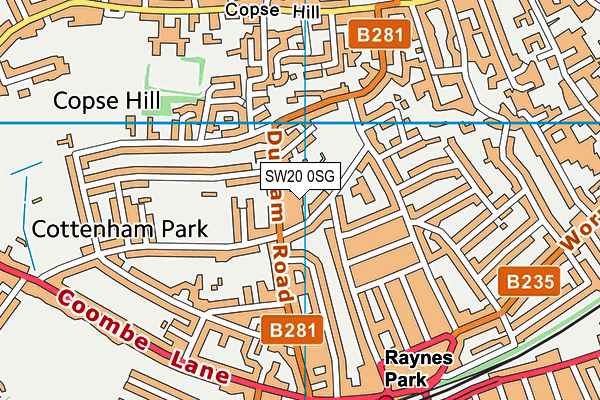 SW20 0SG map - OS VectorMap District (Ordnance Survey)