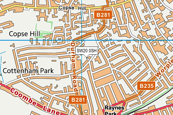 SW20 0SH map - OS VectorMap District (Ordnance Survey)