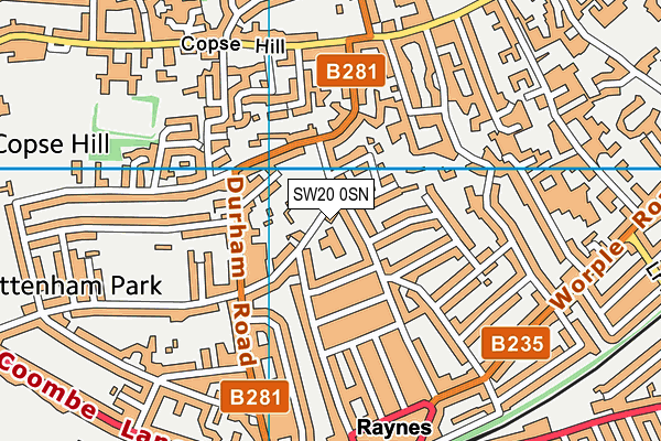 SW20 0SN map - OS VectorMap District (Ordnance Survey)