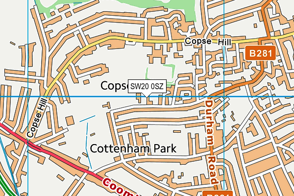 Morley Park map (SW20 0SZ) - OS VectorMap District (Ordnance Survey)