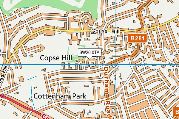 SW20 0TA map - OS VectorMap District (Ordnance Survey)