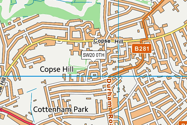 SW20 0TH map - OS VectorMap District (Ordnance Survey)