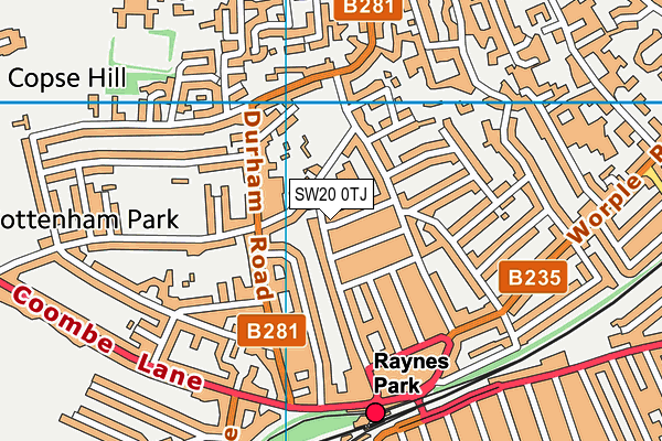 SW20 0TJ map - OS VectorMap District (Ordnance Survey)