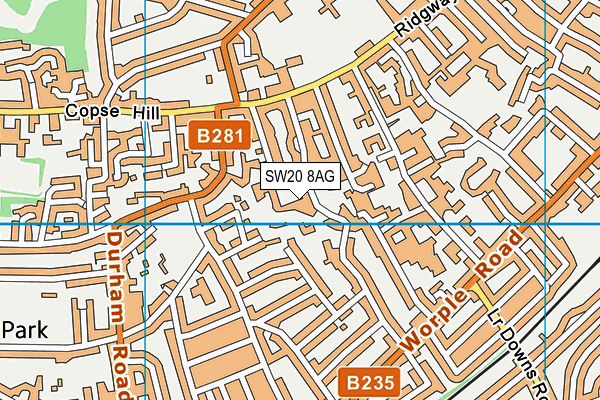 SW20 8AG map - OS VectorMap District (Ordnance Survey)