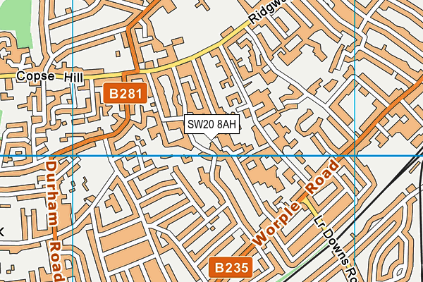Norwegian School in London map (SW20 8AH) - OS VectorMap District (Ordnance Survey)