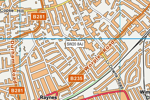 SW20 8AJ map - OS VectorMap District (Ordnance Survey)