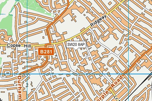 SW20 8AP map - OS VectorMap District (Ordnance Survey)