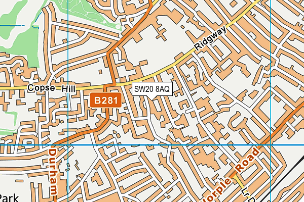 SW20 8AQ map - OS VectorMap District (Ordnance Survey)