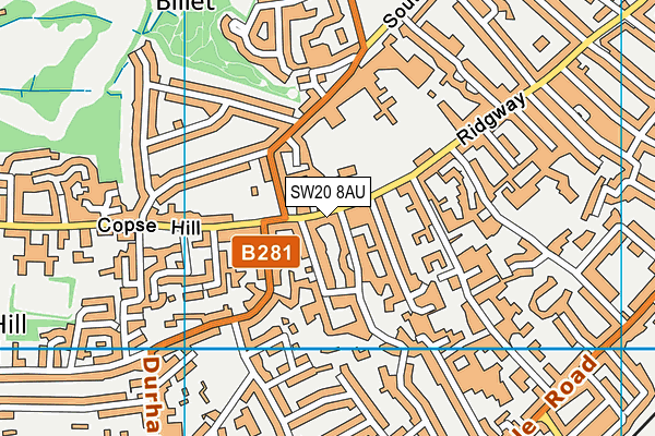 SW20 8AU map - OS VectorMap District (Ordnance Survey)