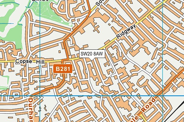 SW20 8AW map - OS VectorMap District (Ordnance Survey)