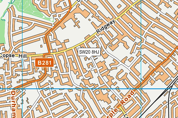 SW20 8HJ map - OS VectorMap District (Ordnance Survey)