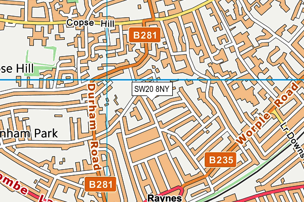 SW20 8NY map - OS VectorMap District (Ordnance Survey)