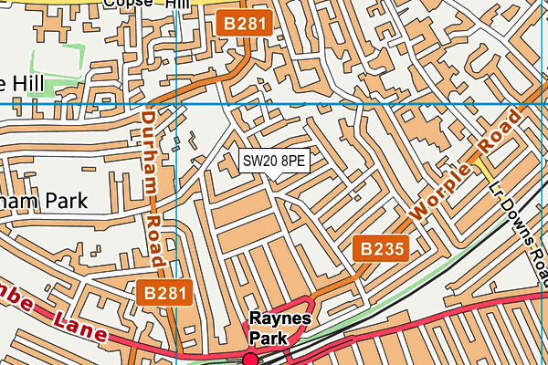 SW20 8PE map - OS VectorMap District (Ordnance Survey)