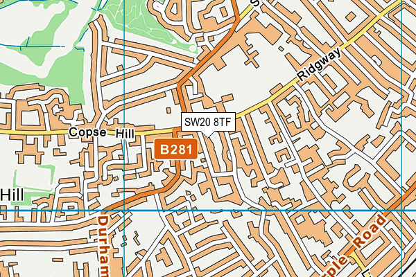 SW20 8TF map - OS VectorMap District (Ordnance Survey)