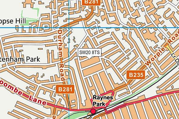 SW20 8TS map - OS VectorMap District (Ordnance Survey)