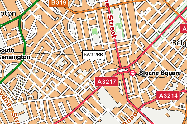 SW3 2RB map - OS VectorMap District (Ordnance Survey)